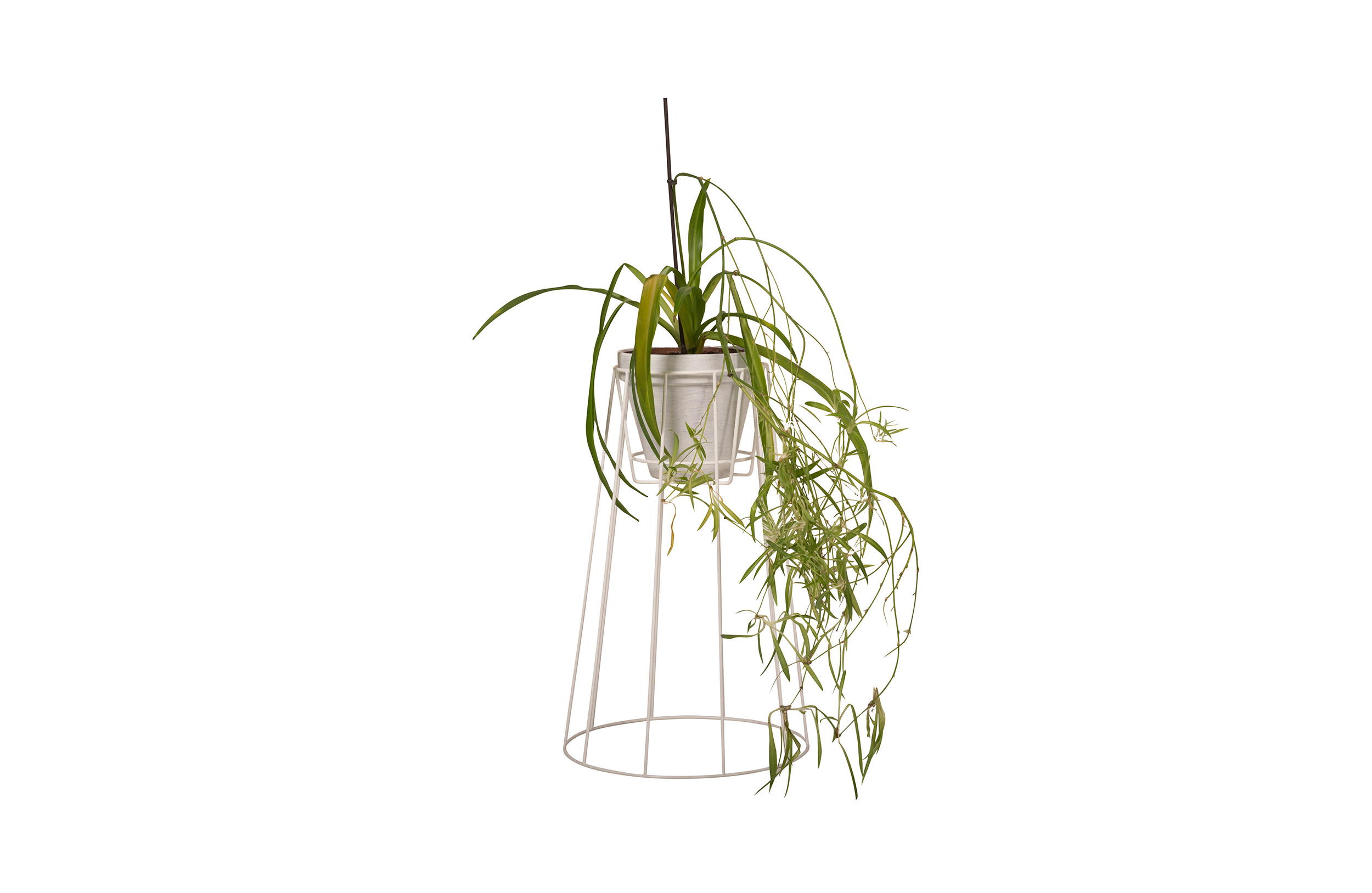 创意家具 - 附件|花器|办公家具|设计师家具|西布莉植物架