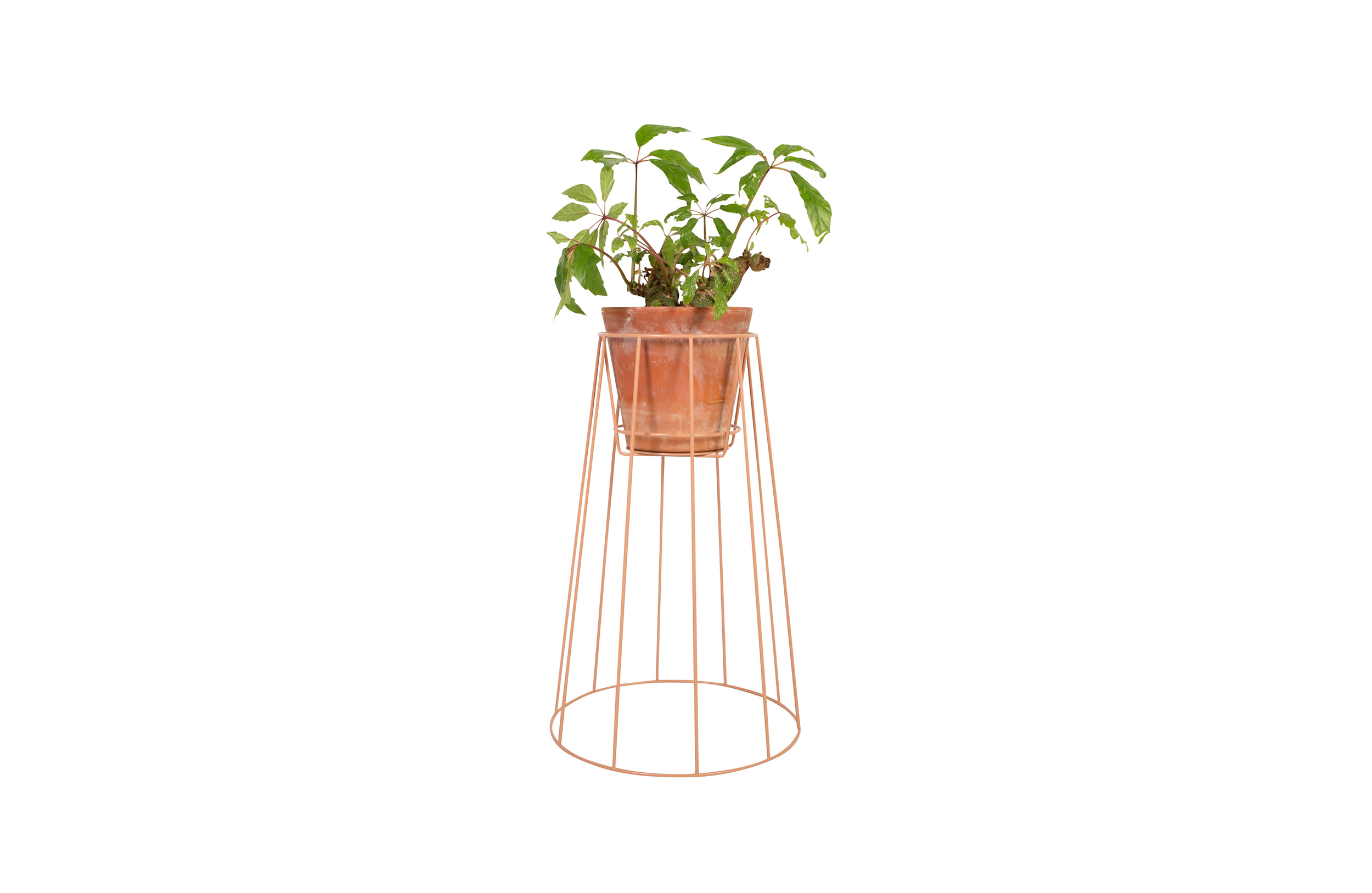 创意家具 - 附件|花器|办公家具|设计师家具|西布莉植物架