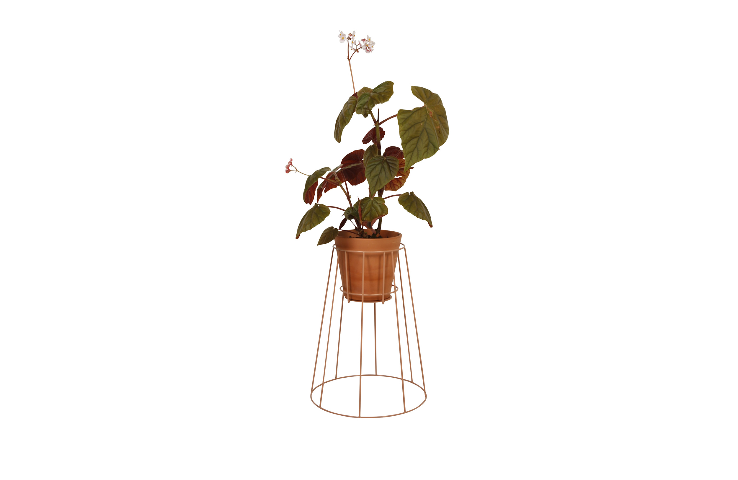 创意家具 - 附件|花器|办公家具|设计师家具|西布莉植物架