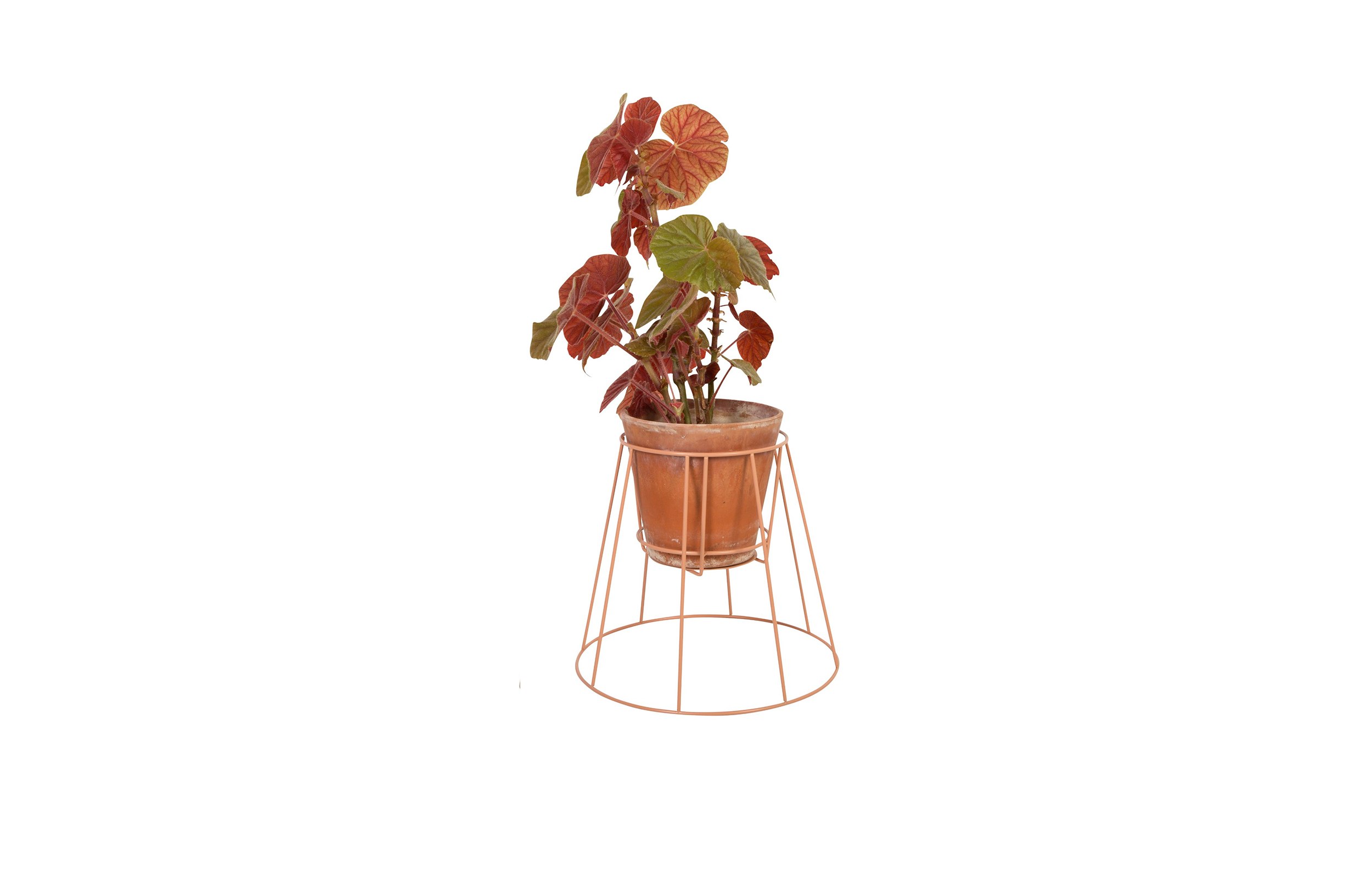 创意家具 - 附件|花器|办公家具|设计师家具|西布莉植物架