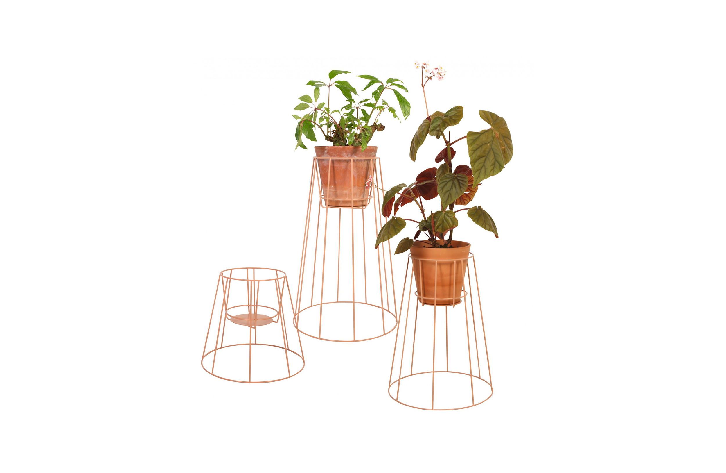 创意家具 - 附件|花器|办公家具|设计师家具|西布莉植物架