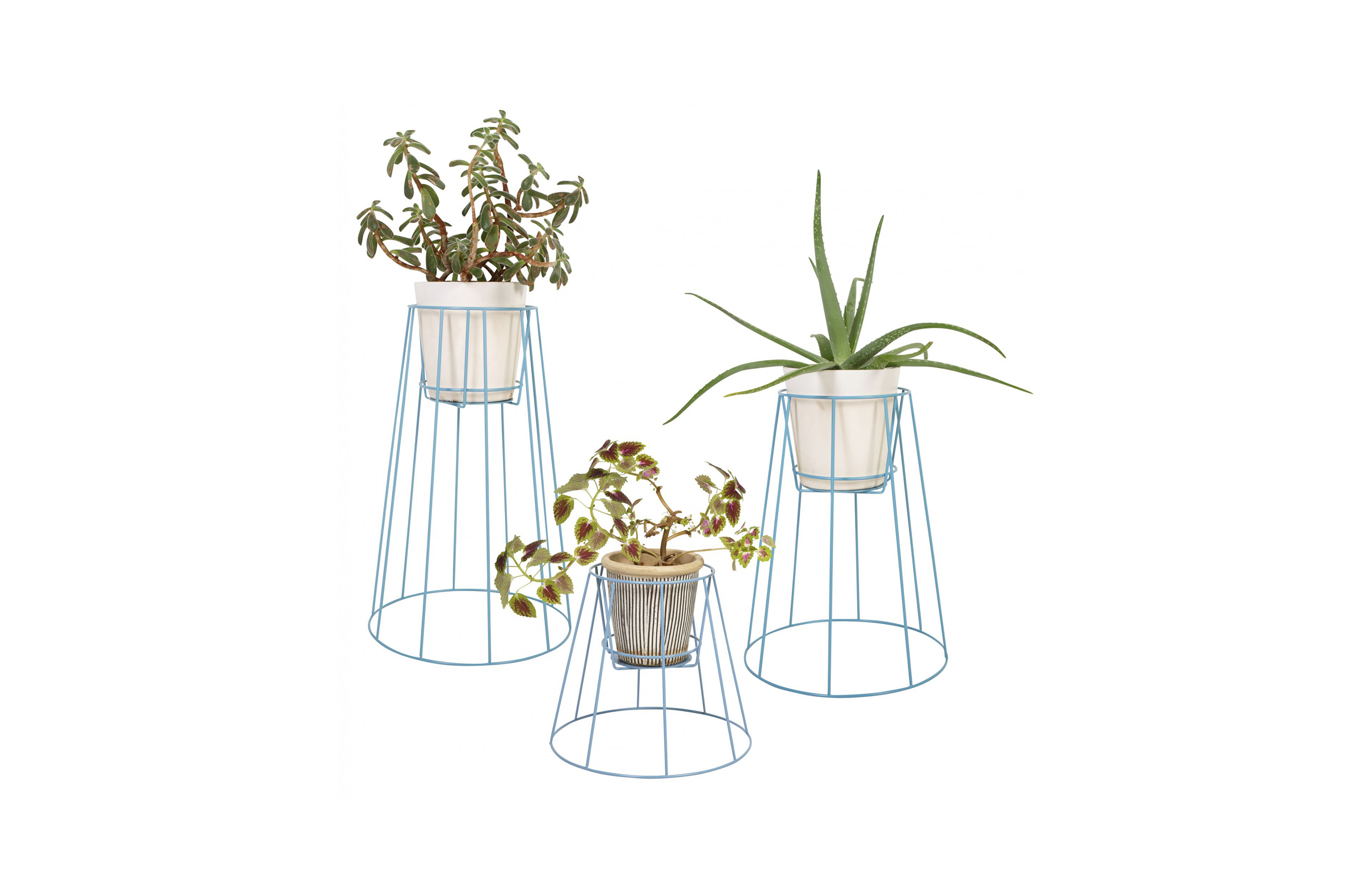 创意家具 - 附件|花器|办公家具|设计师家具|西布莉植物架