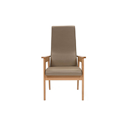 Danesa 扶手椅 danesa armchair